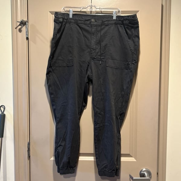 American Eagle Superstretch Jogger Pants with Ankle Zippers Size 24 Short