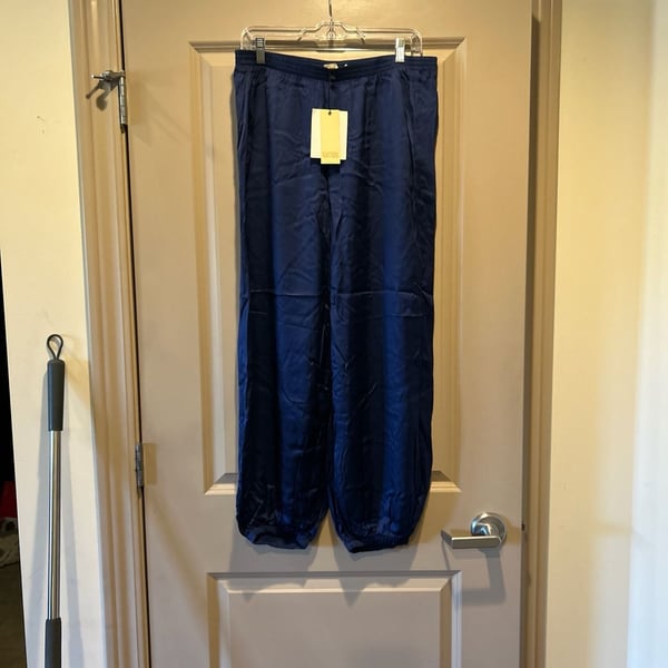 Nation LTD Del Rey Blue Satin Jogger Pants Size L