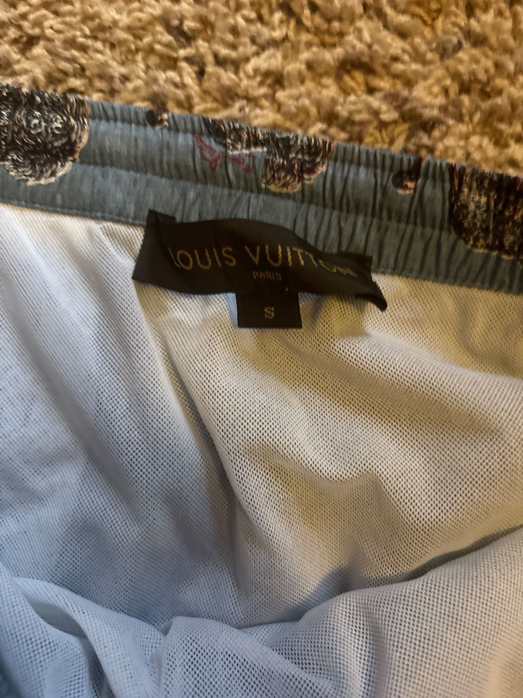 Louis Vuitton x Chapman Brothers Lion Print Swim Trunks Size S 2