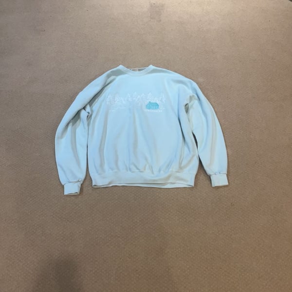 Vintage Oarsman 913 Adirondacks Embroidered Cabin Sweatshirt