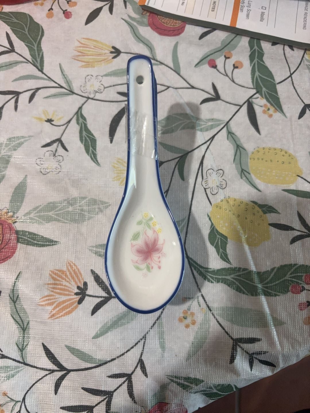 Ceramic Soup Spoons 5 Inches, Set of 4, Asian 1