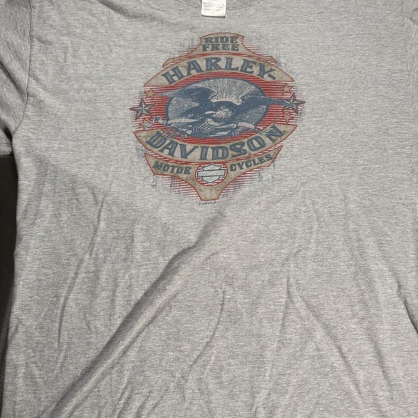 Vintage 2010 Harley-Davidson Chicago Ride Free Graphic T-Shirt Size Large