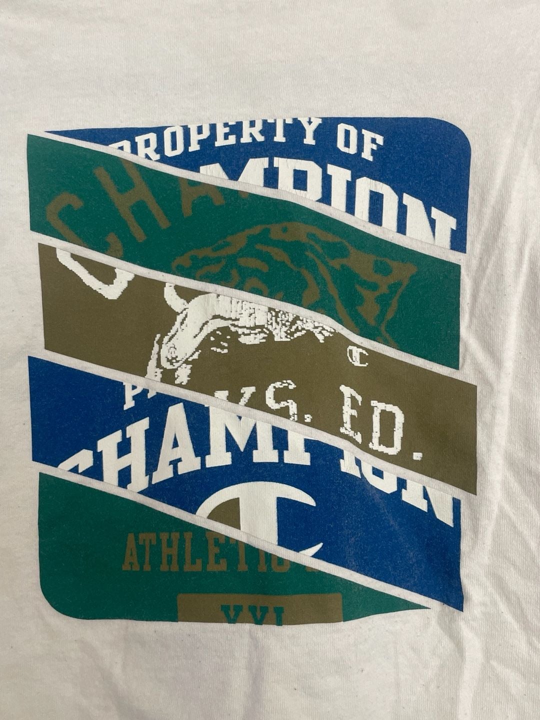 Champion Phys Ed Graphic Chalk T-Shirt 4