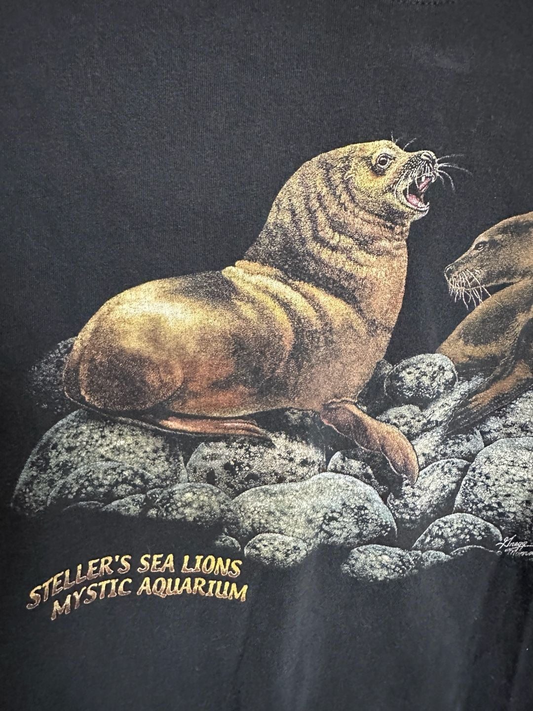 Vintage Hanes Steller's Sea Lions Mystic Aquarium Graphic T-Shirt Size Medium 2