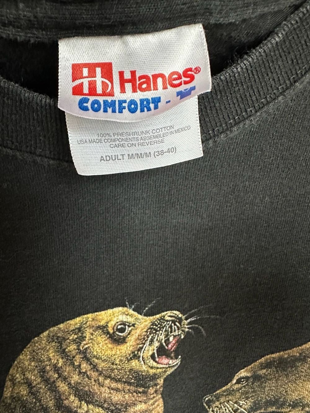 Vintage Hanes Steller's Sea Lions Mystic Aquarium Graphic T-Shirt Size Medium 3