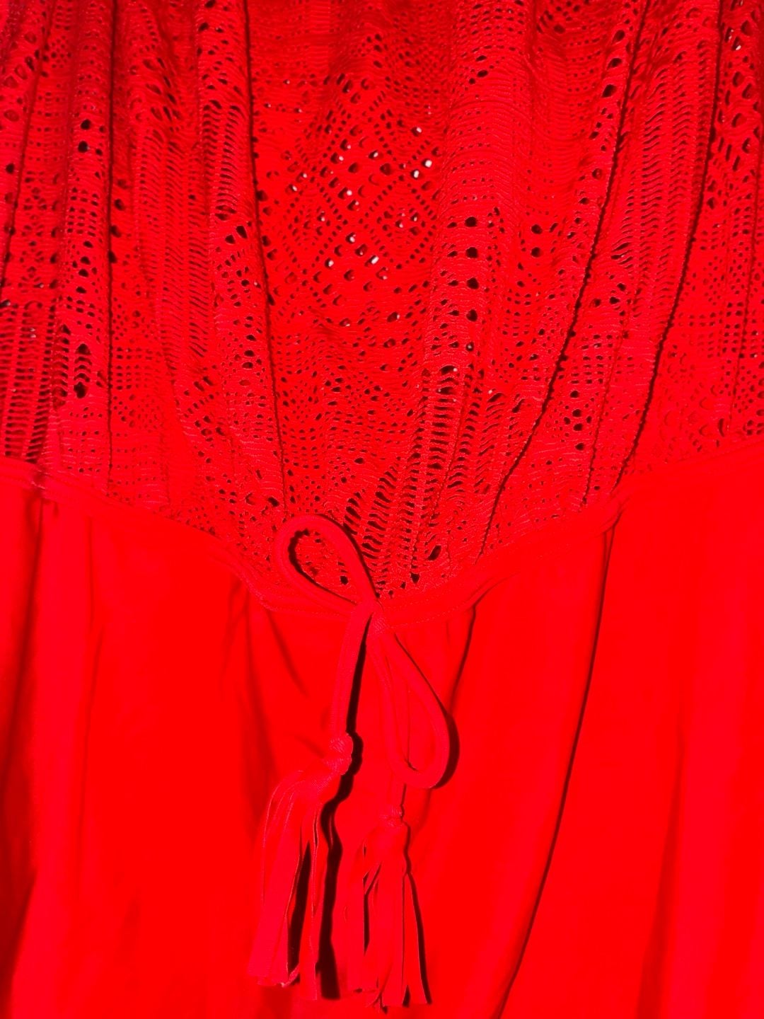 Swim by Cacique Red Lace Overlay One-Piece Swimsuit Size 46D 3