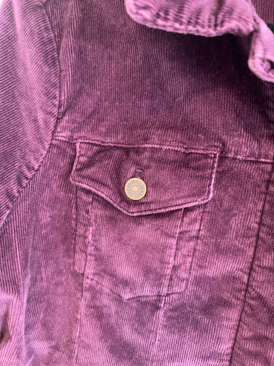 Eddie Bauer Women's Purple Corduroy Button Front Jacket Size Large 4