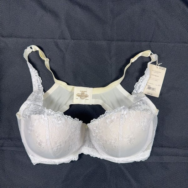 Playtex Secrets and Ambrielle bundle, Underwire Bra 44DD