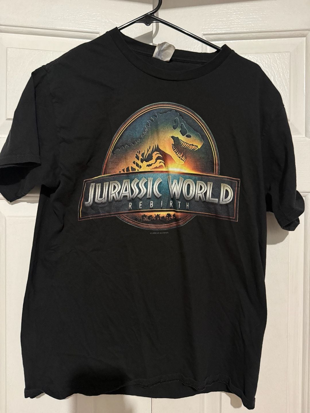 Jurassic World Rebirth Graphic T-Shirt Size Medium 2