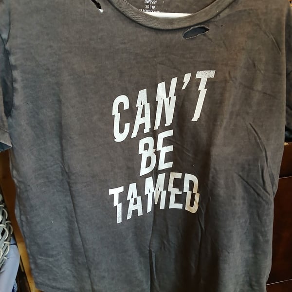 Aerie Can't Be Tamed Graphic T-Shirt XS