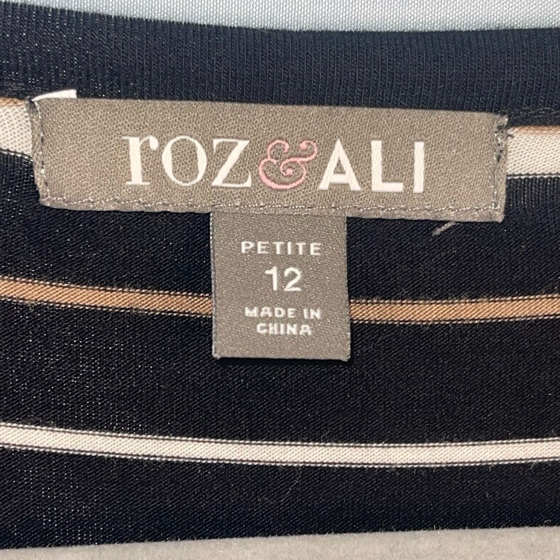 Size 12 Roz & Ali Petite Striped Sleeveless Maxi Dress 3