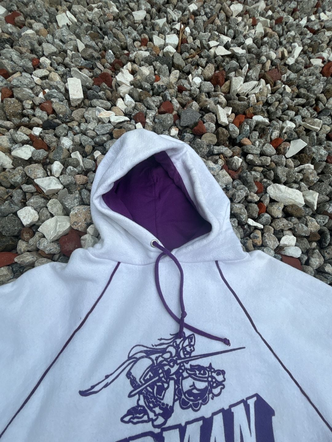 Vintage Furman Paladins Hoodie Sweatshirt Size L 4