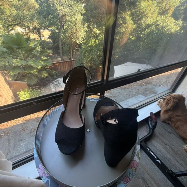 Sun + Stone Reeta Black Suede Ankle Strap Block Heel Sandals Size 10W