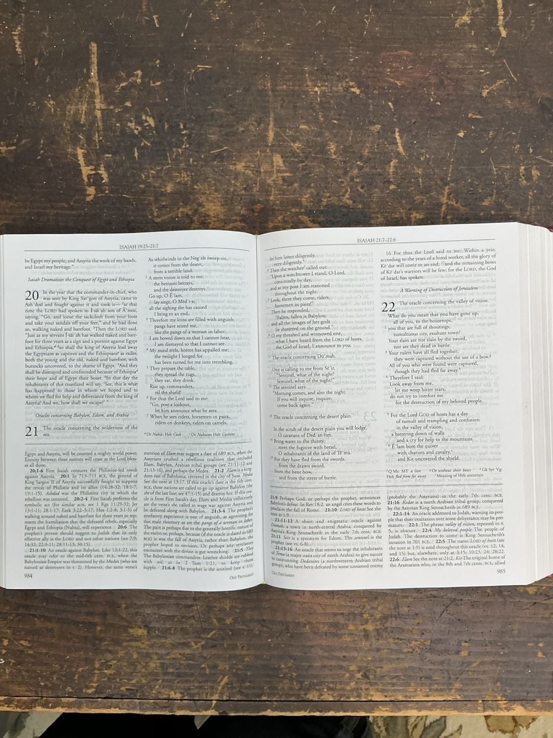 The New Interpreter's Study Bible New Revised Standard Version with the Apocrypha 8