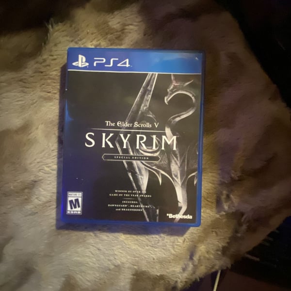 The Elder Scrolls V: Skyrim Special Edition