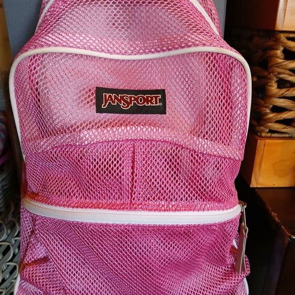 JanSport Pink Mesh Backpack