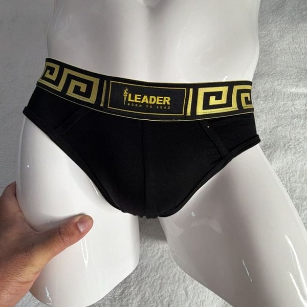 LEADER Invictus Briefs Black/Gold Size L