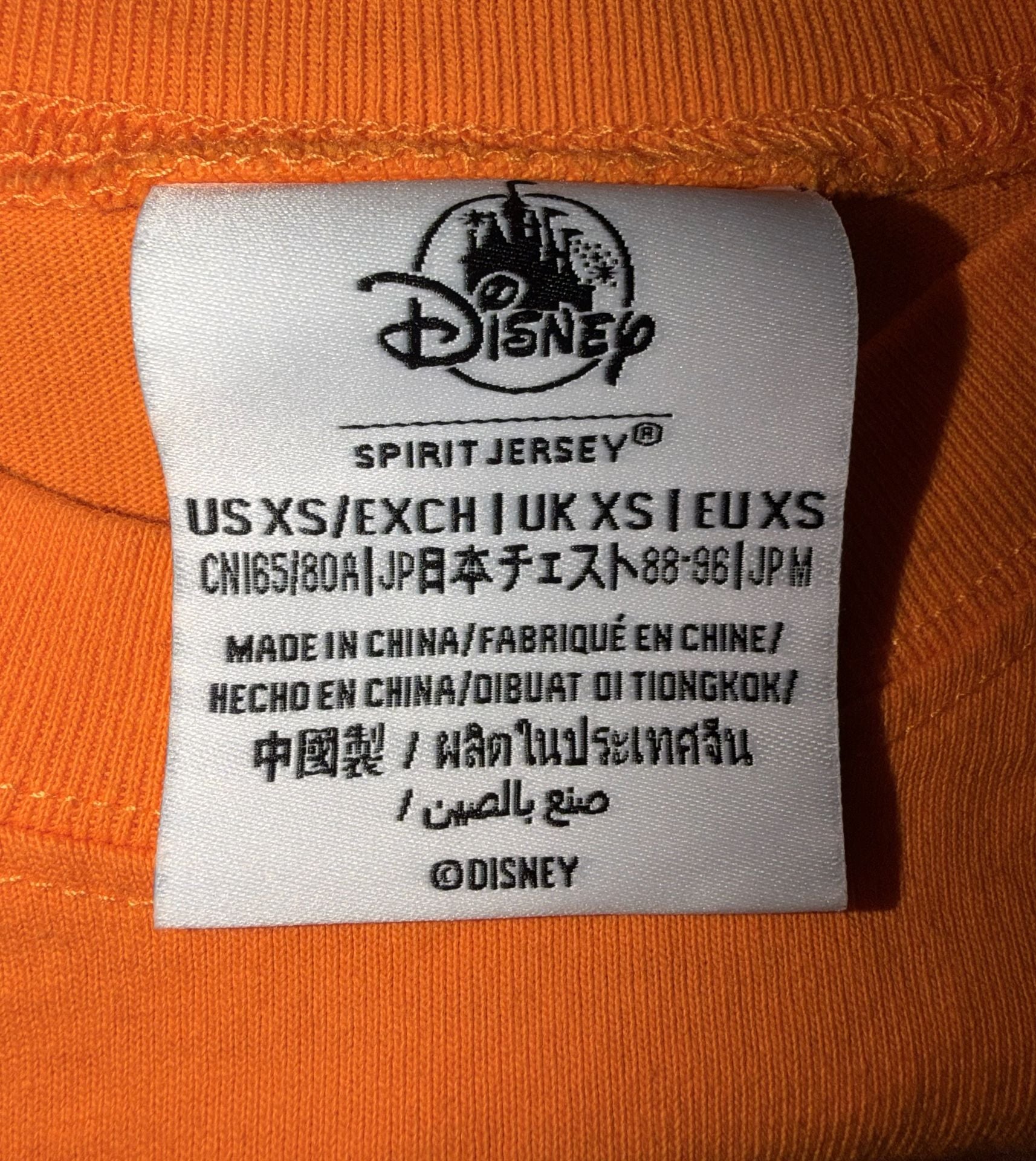 Disney Parks Spirit Jersey Epcot International Flower & Garden Festival 2025 Orange Bird XS WDW 4