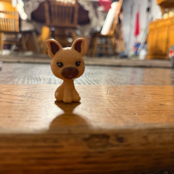 Littlest Pet Shop LPS Tan Chihuahua Dog Figure