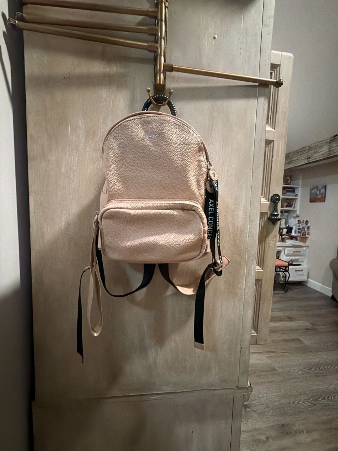 Axel Concept Faux Leather Mini Backpack in Blush Pink 2