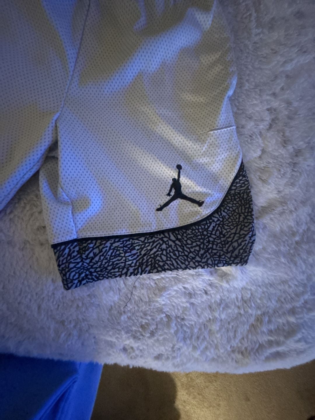 Jordan Dri-FIT Elephant Print Basketball Shorts Size S (8-10 Yrs) 2