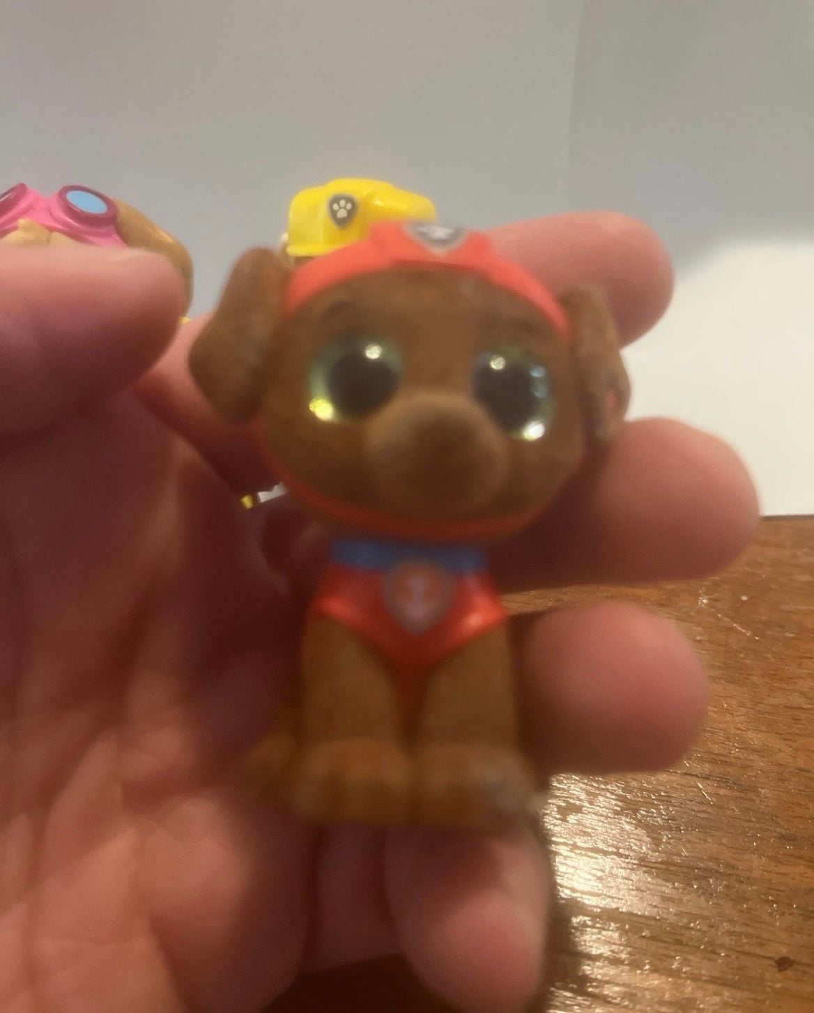 Lot of 5 Paw Patrol Ty Beanie Babies Mini Figures 4