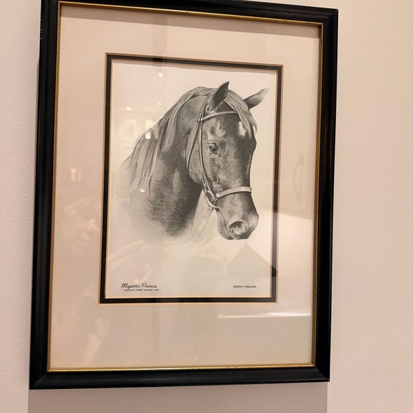 Vintage Shirley J. Wallner Majestic Prince Kentucky Derby Winner 1969 Framed 