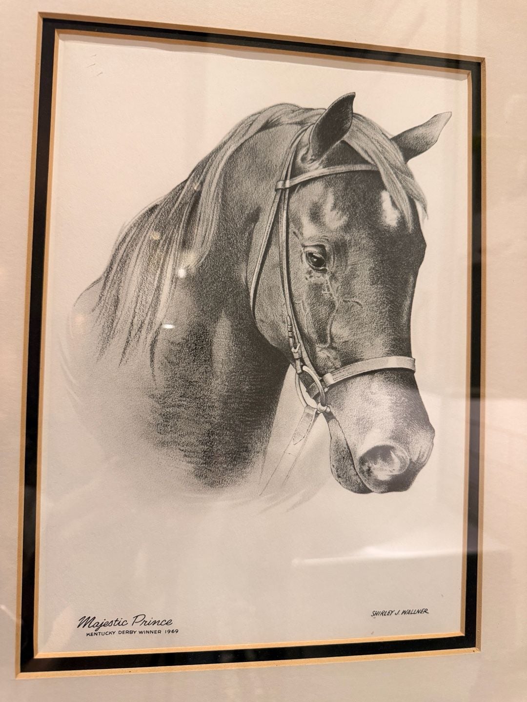Vintage Shirley J. Wallner Majestic Prince Kentucky Derby Winner 1969 Framed 2