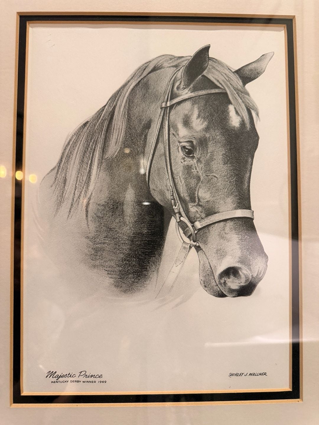 Vintage Shirley J. Wallner Majestic Prince Kentucky Derby Winner 1969 Framed 3