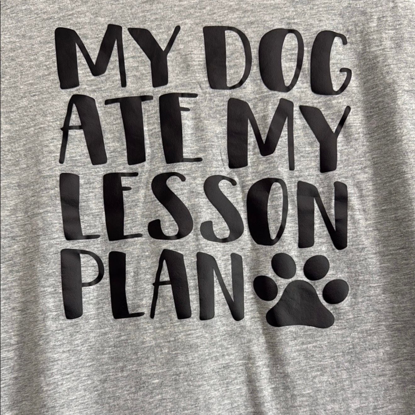 Smart Blanks My Dog Ate My Lesson Plan Graphic T-Shirt Size L 3