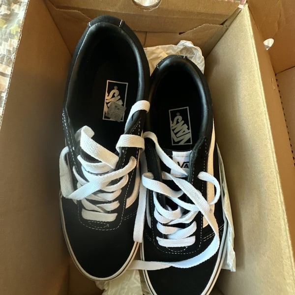 Vans Ward Black and White Low Top Skate Shoes
