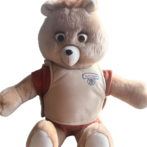 Teddy Ruxpin Talking Animatronic Bear with Storybook 2006