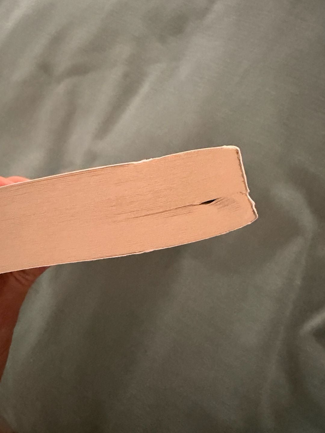 It Ends with Us by Colleen Hoover (Signed Paperback first edition) 6