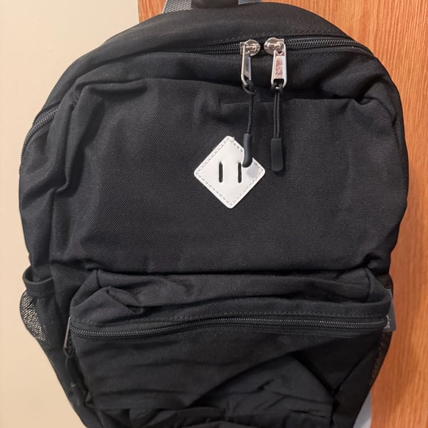 Amazon.com Kids Backpack for Girls 4-6: Girls for Elementary Kindergarten 