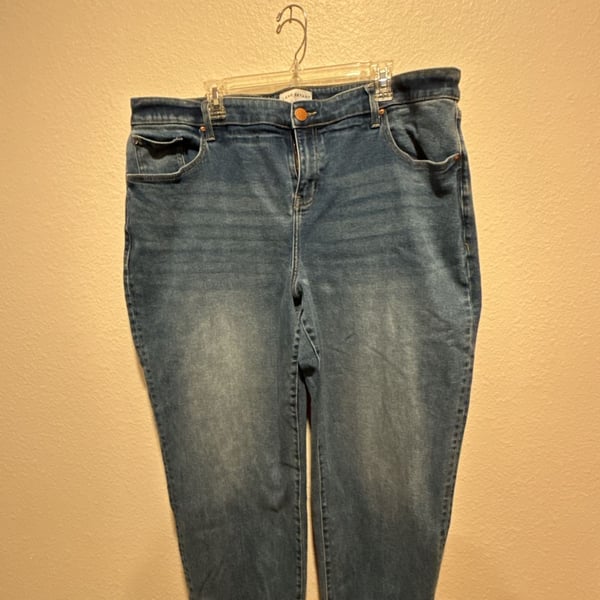 Lane Bryant Mid-Rise Boyfriend Jeans Size 20