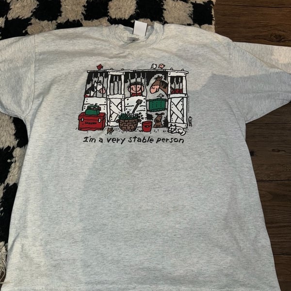 Vintage 1993 Jared D. Lee Studio I'm A Very Stable Person T-Shirt XL