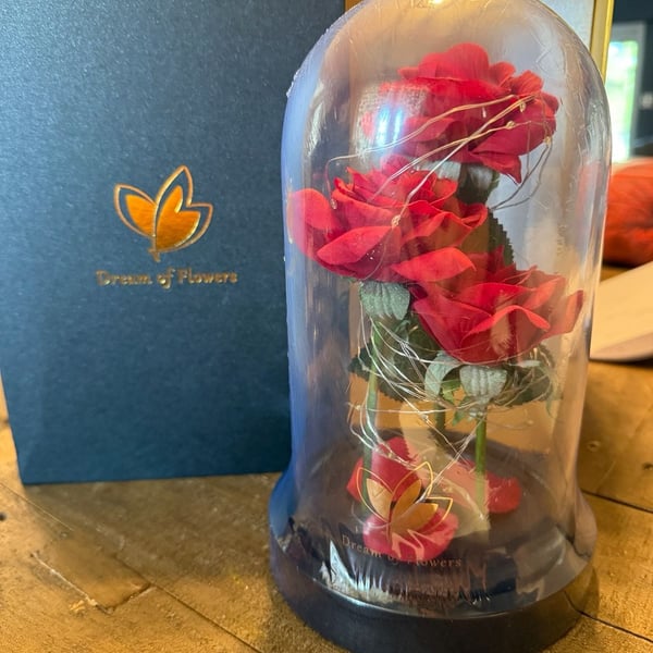 Dream of Flowers Light Up Red Silk Roses in Glass Dome