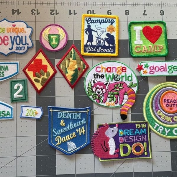 Lot of 15 Girl Scout Patches North Carolina Coastal Pines Goal Getter Llama Hedgehog