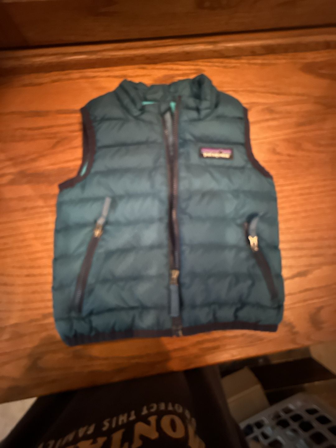 Patagonia Baby Down Sweater Vest Teal Size 6-12M 1