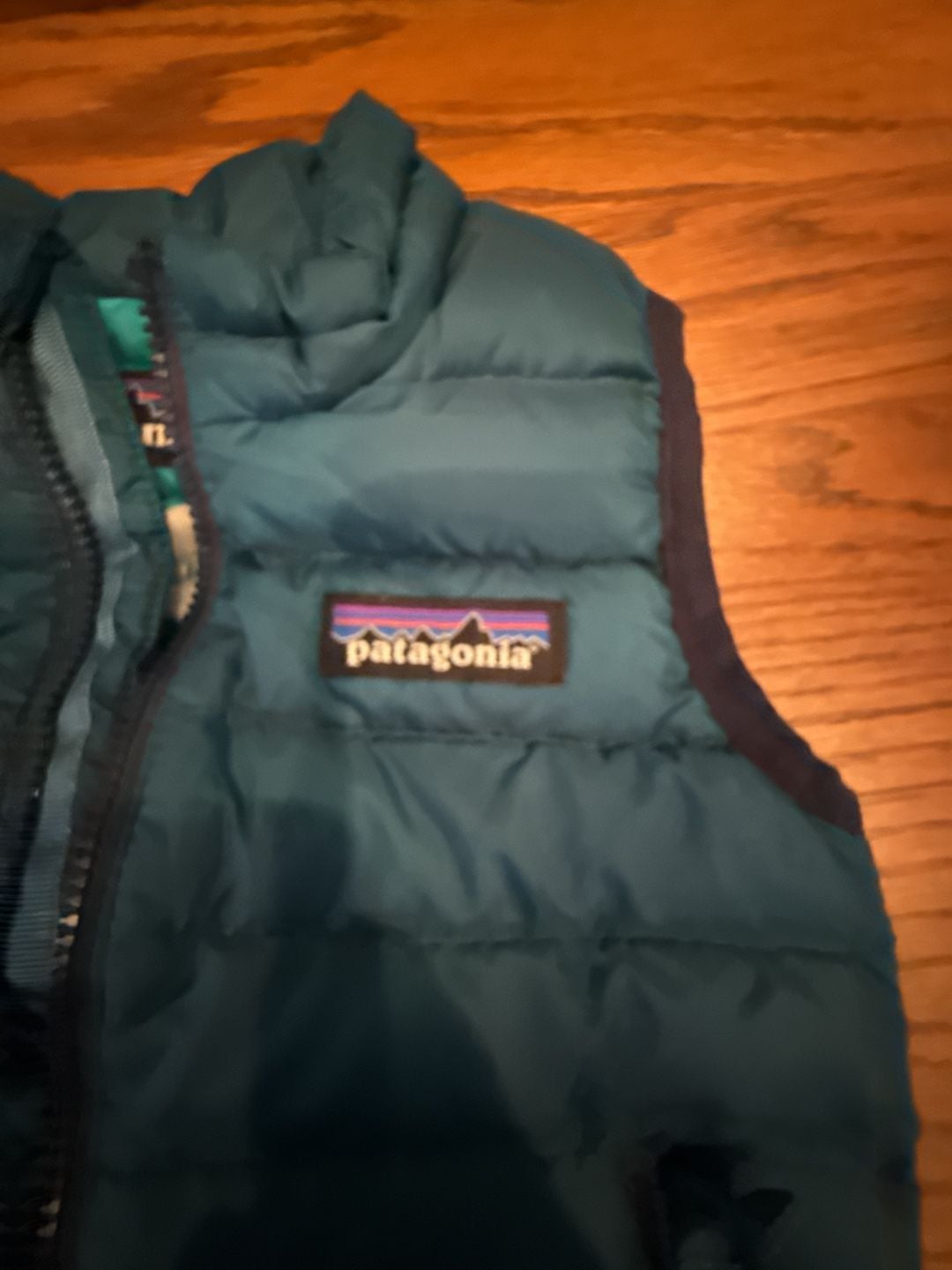 Patagonia Baby Down Sweater Vest Teal Size 6-12M 3