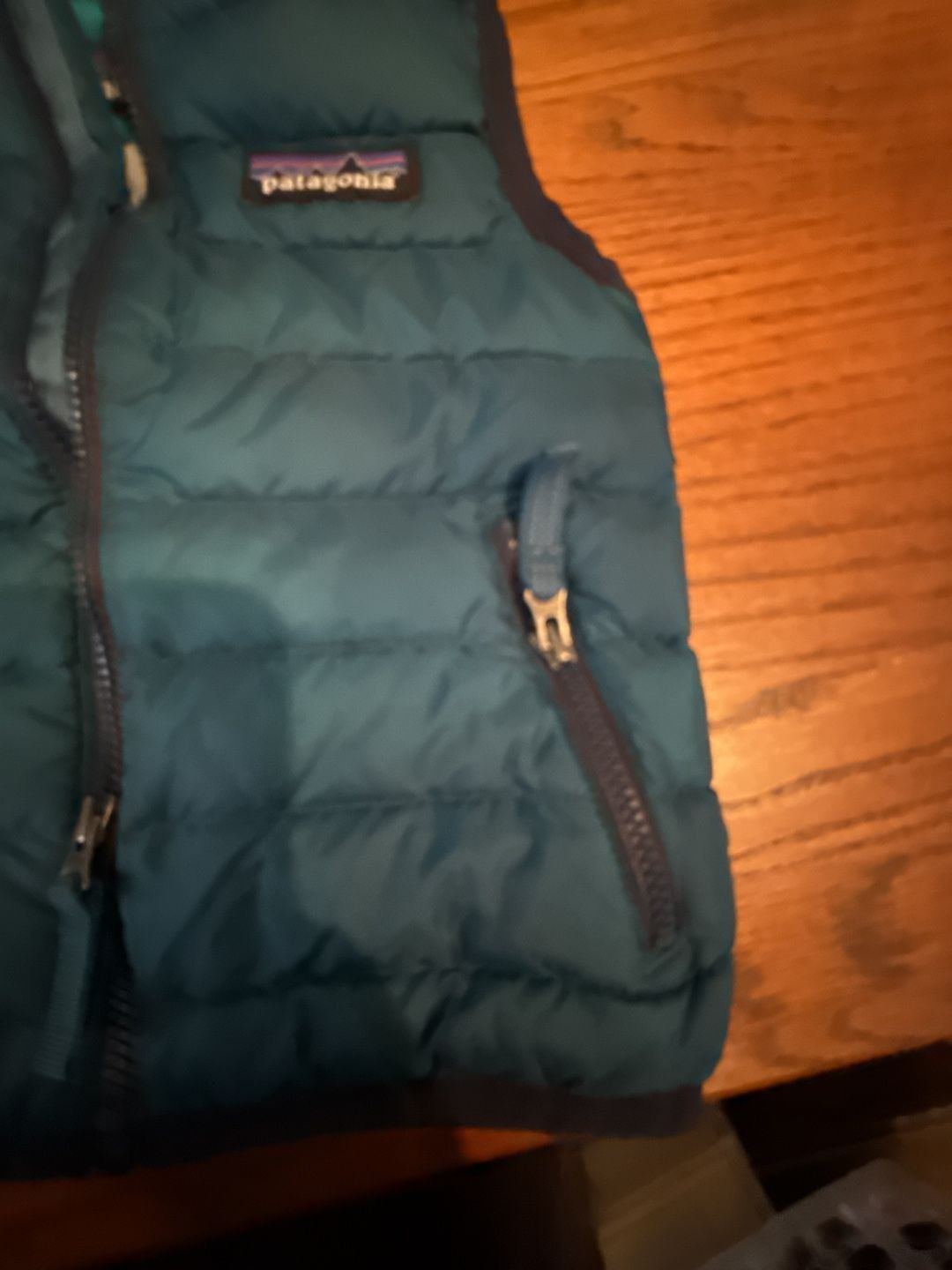 Patagonia Baby Down Sweater Vest Teal Size 6-12M 4
