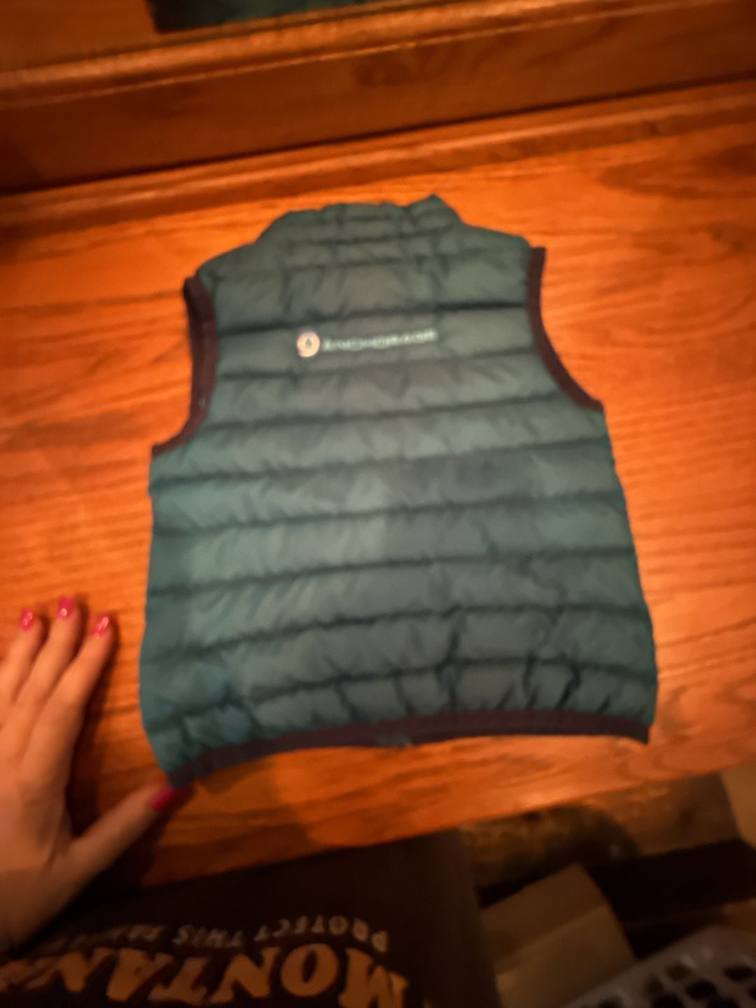 Patagonia Baby Down Sweater Vest Teal Size 6-12M 6