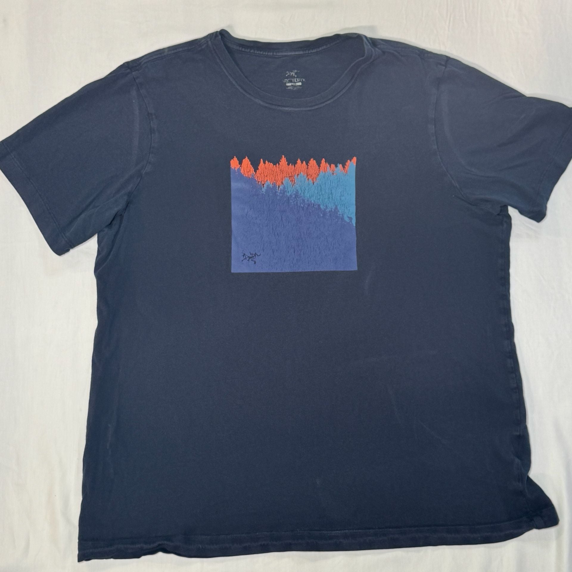 Arc'teryx Arc'Word Mountain Forest Graphic T-Shirt 2