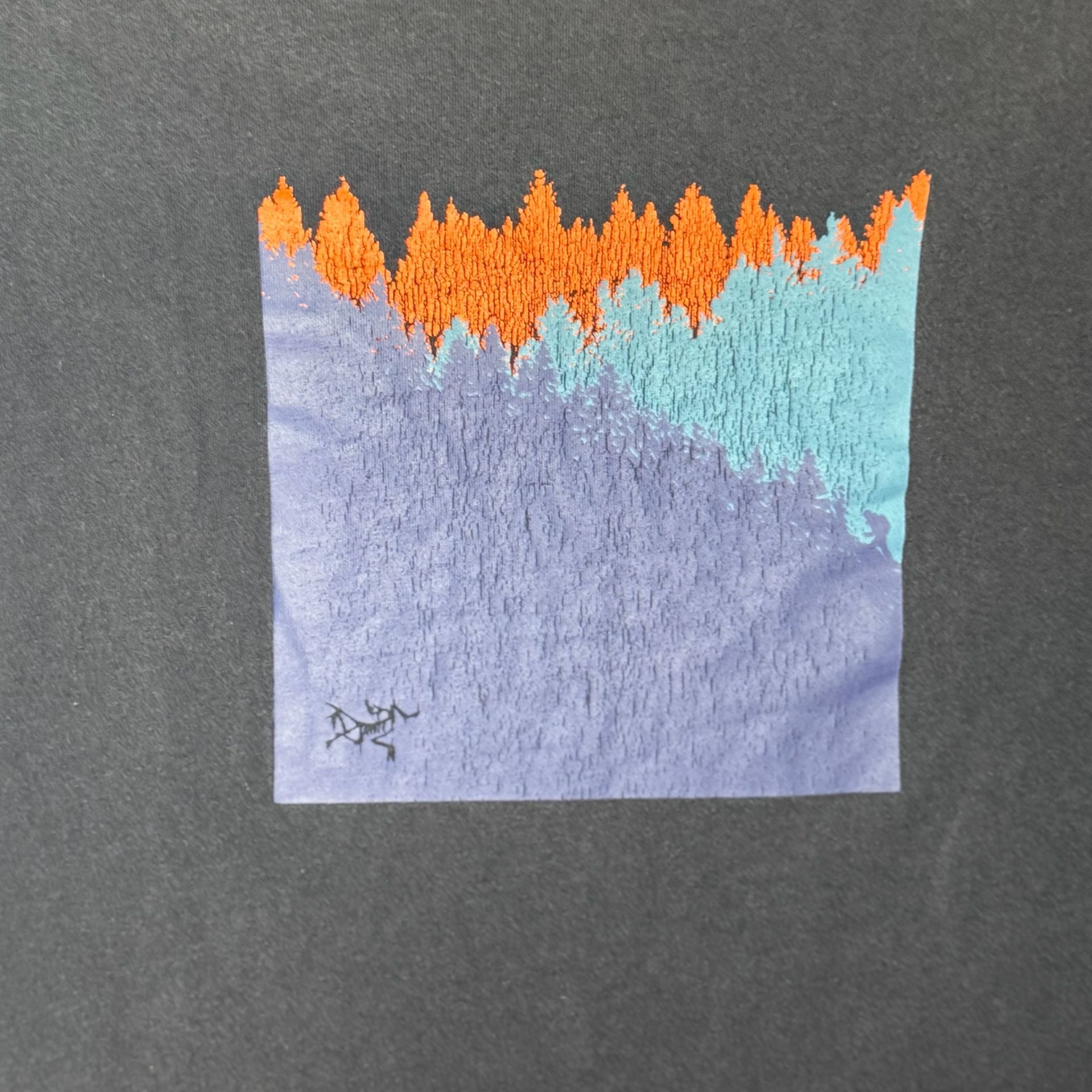 Arc'teryx Arc'Word Mountain Forest Graphic T-Shirt 4