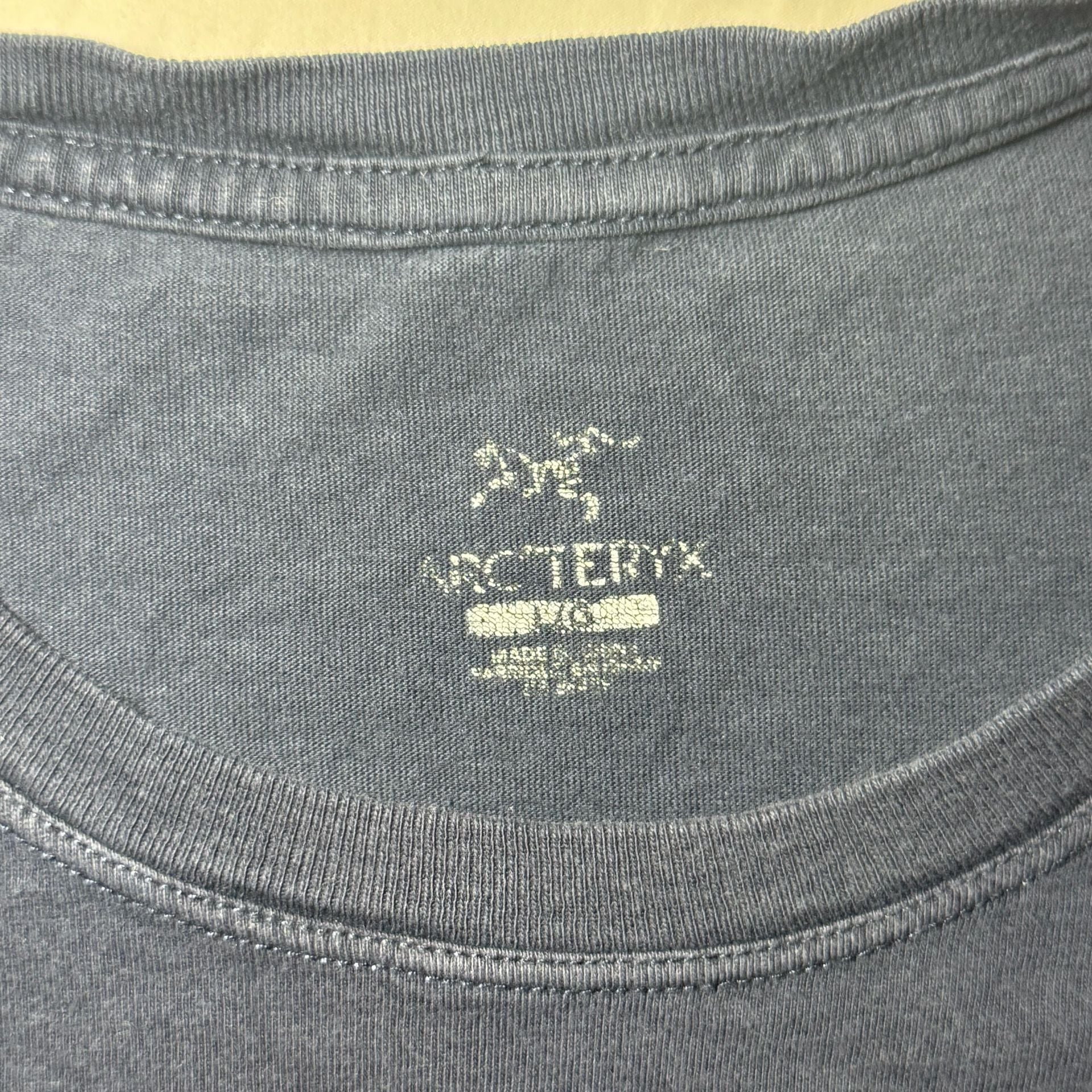 Arc'teryx Arc'Word Mountain Forest Graphic T-Shirt 5