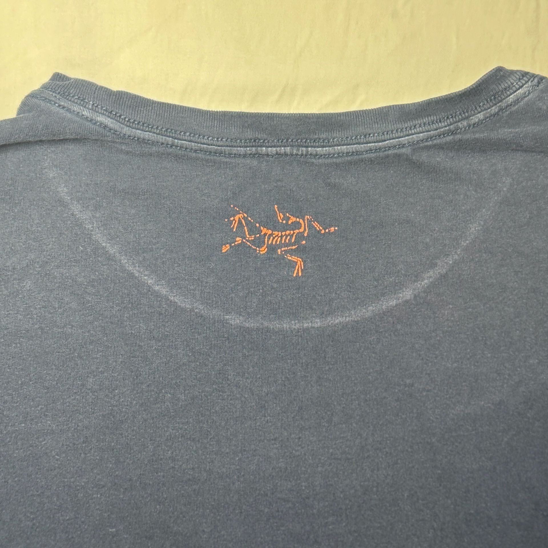 Arc'teryx Arc'Word Mountain Forest Graphic T-Shirt 8