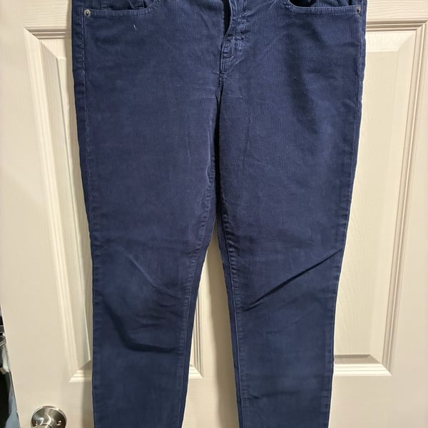 J.Crew Toothpick Corduroy Pants Navy Blue Size 28 Ankle