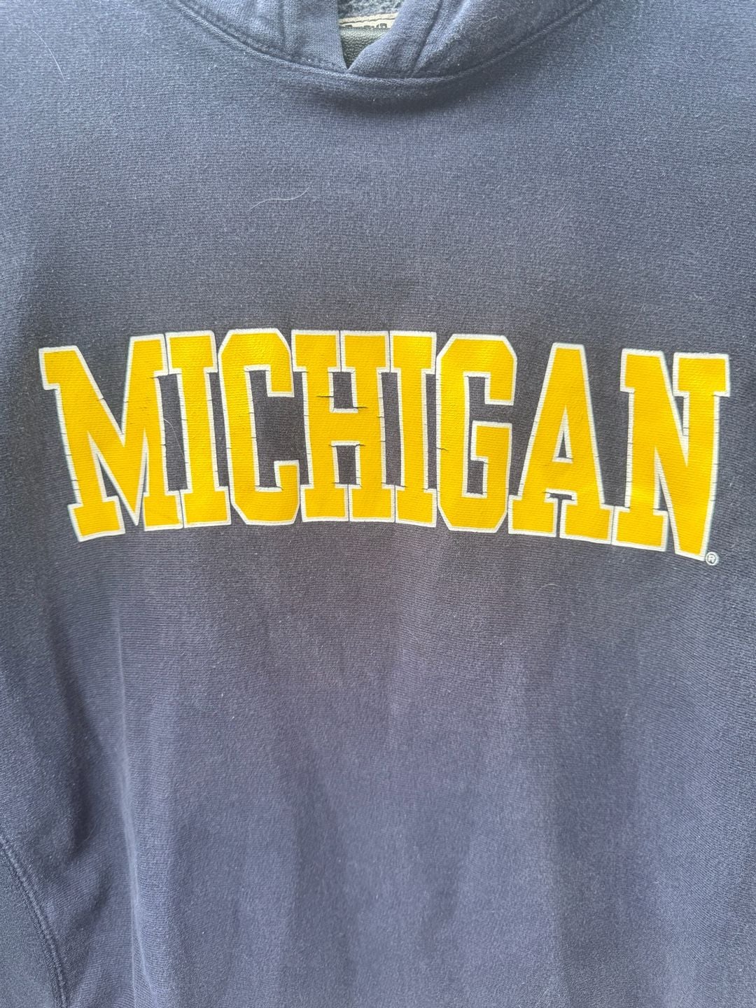 Vintage Steve and Barry's University of Michigan Wolverines Heavyweight Hoodie XL 5