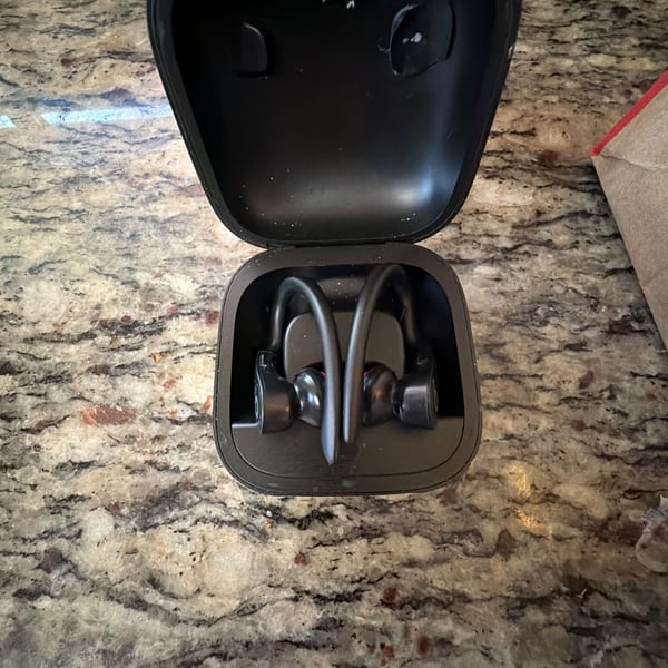 Beats by Dr. Dre Powerbeats Pro Totally Wireless Earphones - Black