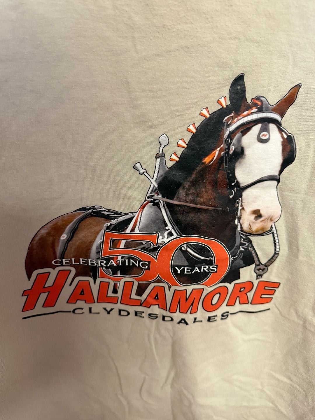 Hanes Beefy-T Celebrating 50 Years Hallamore Clydesdales Graphic Tee 3